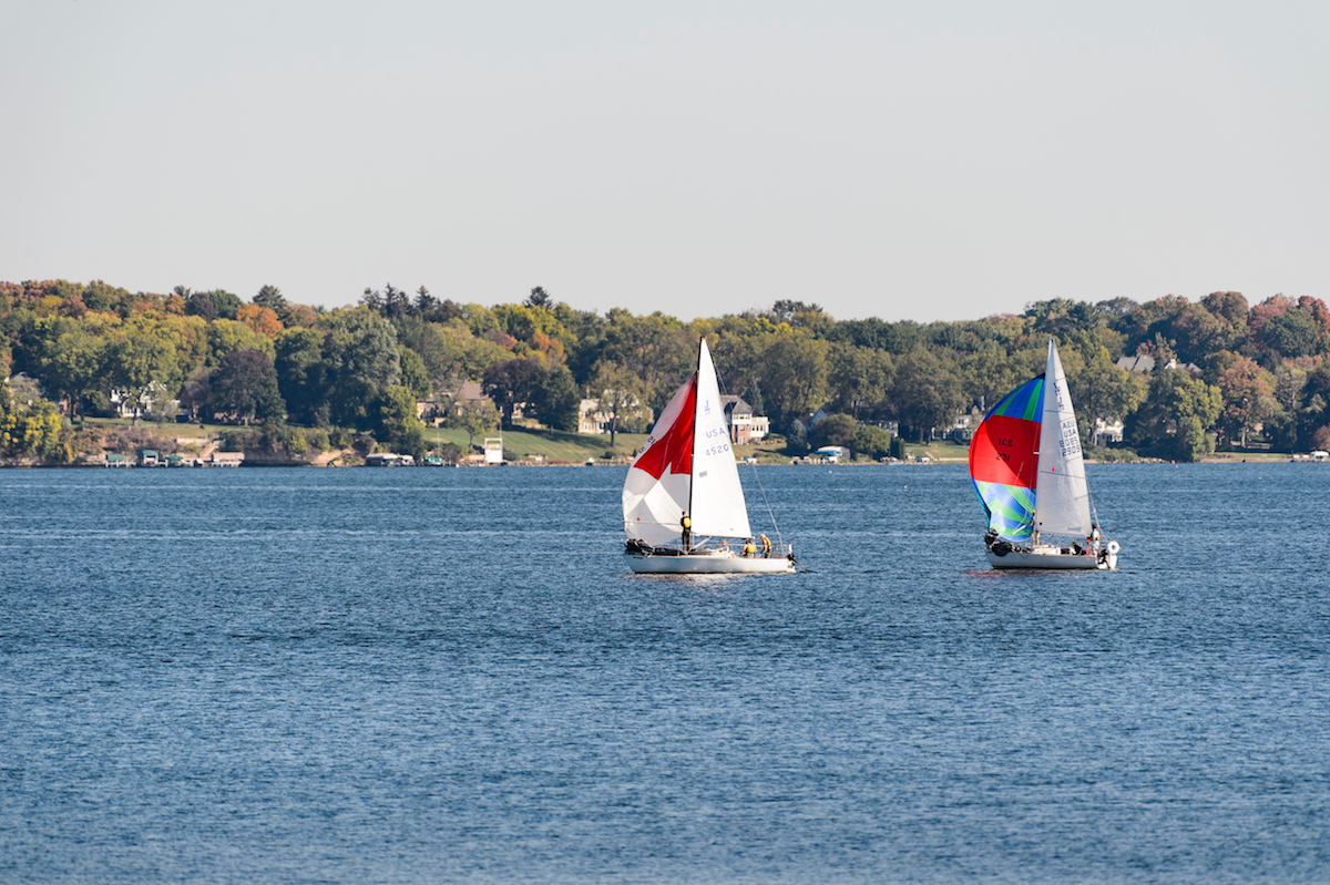 sailboats