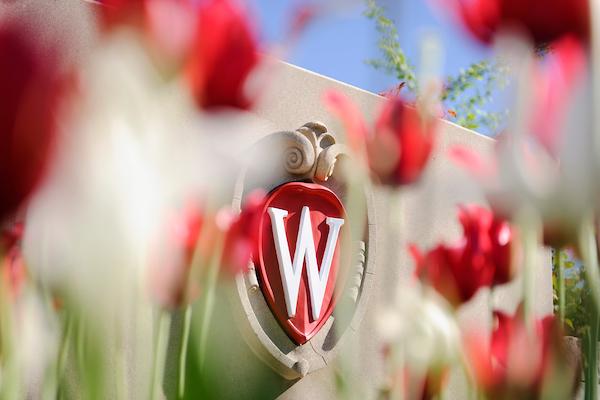 UW-Madison Crest and flowers